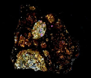 Meteorit ERG CHECH 008 seltener CR2 kohlenstoffhaltiger Chondrit - Dünnschnitt - Bild 1 von 7