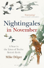 Mike Dilger Nightingales in November (Paperback)