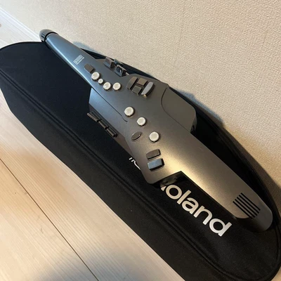 Roland AE-10 Aerophone Wind Synthesizer Graphit mit Koffer Japan gebraucht - Bild 1 von 4