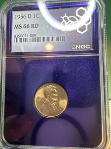 1956 D Lincoln Wheat Cent MS 66 RD NGC Uncirculated Purple Collector Holder - Picture 1 of 4