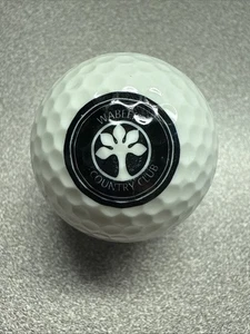 Wabeek Country Club Logo Golfball - Bild 1 von 2