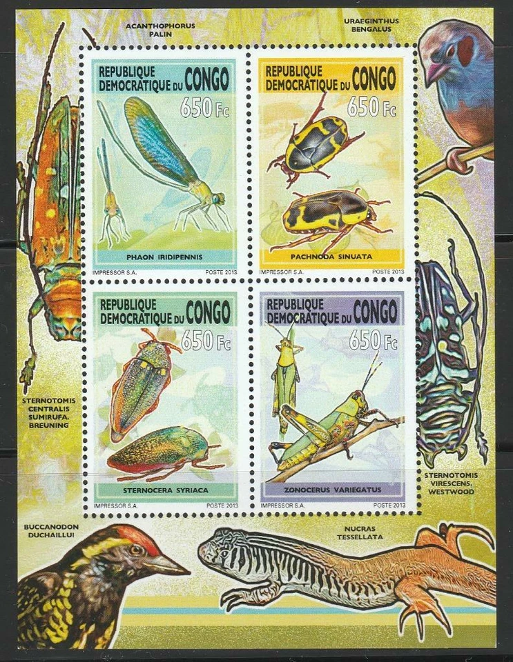CONGO INSECTS BUTTERFLIES STAMPS 2013 INSECTS SS MNH - IB169 - Image 1 of 1