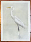 Rare Jim Howle Wildlife Bird Art *Sentinel* Great White Egret Signed #'d 23"X17"