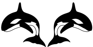 Killer Whale Orca 2 Black Vinyl Decals Car Truck Windows Laptop Notebook Tablet - Picture 1 of 2