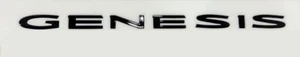 (Made in Korea) Rear Trunk Glossy Black emblem for 2017-2026 Genesis G80 - Bild 1 von 13