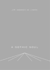 Jiri Karasek A Gothic Soul (Relié)