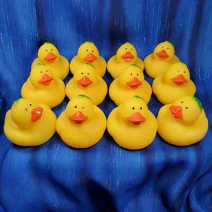 Eine Kiste 24 Dutzend (288) Pfirsich Obst Gummi Enten Ente Großhandel Georgia Neu - Bild 1 von 4