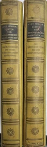 Curt Moreck: KULTUR UND SITTENGESCHICHTE DER NEUESTEN ZEIT, Band 1 u. 2, E.A. - Bild 1 von 18