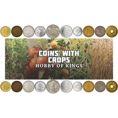 10 Different Coins with Crops | Wheat, Olives, Rice, Maize, Grapes And More - Image 1 of 4