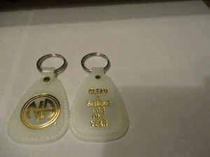 NA NARCOTICS ANONYMOUS KEYTAG CLEAN TIME - ONE YEAR - GLOWS IN THE DARK  - Bild 1 von 3