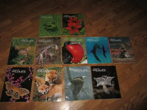 National Wildlife Magazines~Back Issues~1980's & 1990's~Lot of 11 - Bild 1 von 10