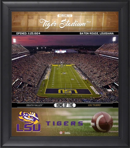 Tigers Framed 15x17 Welcome Home Collage - Fanatics Cover