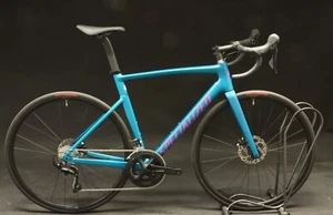 2023 Specialized Allez Sprint Comp Bike 56cm Shimano 105 Lagoon Tint Floor Demo - Picture 1 of 14