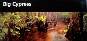 Big Cypress National Preserve National Park Service Unigrid Brochure - Picture 1 of 2