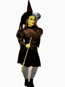 Plus Size 16-22 Classic BLACK Witch Costume Puff long Sleeve Lace Up Dress, Hat - Picture 1 of 12