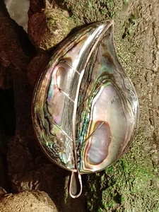 Taxco Sterling Silver & Abalone Leaf Brooch Signed CCD? CGD? GCD? Mexico - Picture 1 of 6