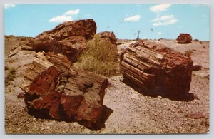 Postal del Monumento Nacional Bosque Petrificado de Troncos Petrificados Arizona AZ 1961 - Imagen 1 de 2