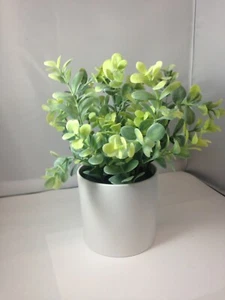 10" x 4" Artificial Plant Arrangement in Pot Green/White - Project 62 - Picture 1 of 2