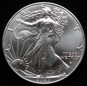 American Silver Eagle 2023 .999 brillante sin circular 1 oz. MONEDA - Walking Liberty - Imagen 1 de 4