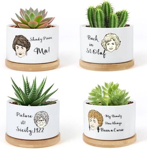 4 Pcs Golden Girls Small Ceramic Plant Pots- House Plants Garden -Succulents NEW - Picture 1 of 6