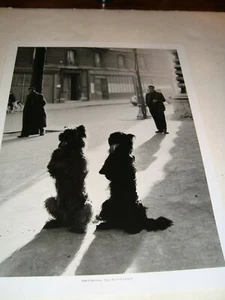Berühmtes Schwarz-Weiß-Fotoposter des französischen Fotografen Robert Doisneau  - Bild 1 von 3