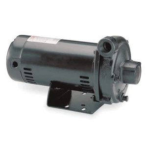 DAYTON 4RU77 Pump,3/4 HP,1 Ph,120/240VAC 4RU77 - Picture 1 of 2