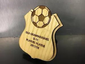 Trofeos de fútbol, escudos, 3 tallas, grabados gratis, otros deportes disponibles - Imagen 1 de 5