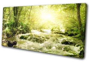 Quadro Stampa Arte Murale Singola Tela Paesaggi Verde Foresta Ruscello Fiume - Foto 1 di 1