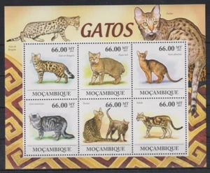 N583. Mozambique - MNH - 2011 - Naturaleza - Animales - Gatos - Imagen 1 de 1