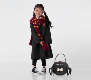 Pottery Barn Kids Harry Potter Gryffindor Costume Sz 3T Cloak Scarf Tie New - Picture 1 of 8