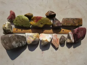 521  ASSORTED JASPER TUMBLE MIX OR CUT FOR CABS, PARTIALLY POLISHED ALREADY - Picture 1 of 3