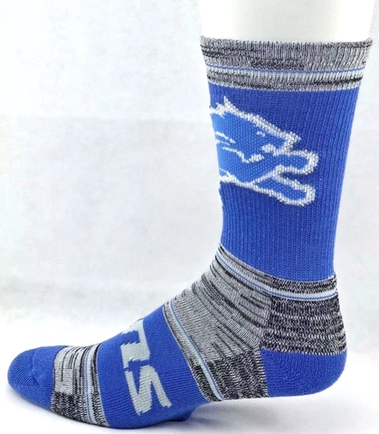 Detroit Lions Football Blue & Gray RMC Stripe Deuce Crew Socks Cover