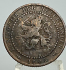 Netherlands - 1 cent - Lion héraldique - Petites branches - 1904