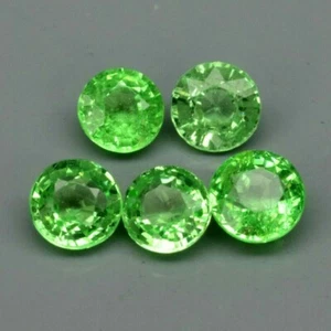 5pcs Lot 1.03ct Natural Unheated Vibrant Green Tsavorite Garnet(Ver Vídeo) - Imagen 1 de 2