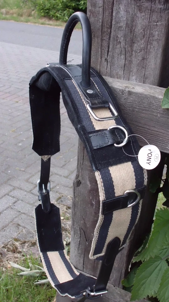 Longiergurt /Reithilfe mit einem Haltegriff Gr -Shetty ca 124-146 cm, - Bild 1 von 1