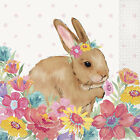 Pioneer Woman Easter Bunny Rabbit & Flowers 20 2 Ply Paper Dinner Napkins