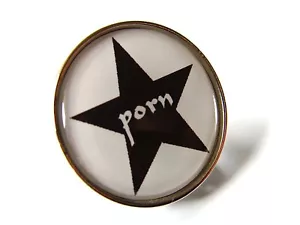 PIN ESTRELLA PORNO INSIGNIA HUMOR BROMA DIVERSIÓN REGALO NOVEDAD - Imagen 1 de 7