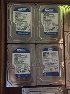 Lot of 4 Western Digital Blue WD2500AAKX 250GB 7200RPM 3.5" PC Hard Drive Tested - Picture 1 of 4