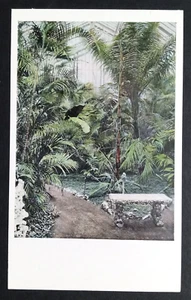 Decorative Palms Missouri Botanical Garden St Louis MO Postcard c1960s Plants - Picture 1 of 2
