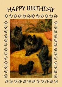 POMERANIAN CUTE POM FAMILY DOG BIRTHDAY GREETINGS NOTE CARD  - Picture 1 of 1