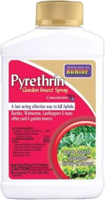 Pyrethrin Concentrate Garden and Insect Spray, Bonide Products, 8 ounces - Image 1 of 4