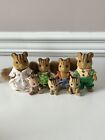 Calico Critters Squirrel Lot Of 7 Sylvanian Families - Rare And From 2009