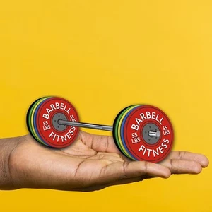 Mini Barbell – Ultimate Gym-Inspired Desk or Shelf Accessory with Removable W... - Picture 1 of 5