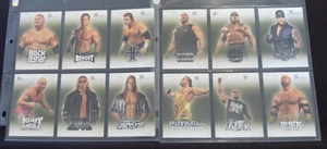 2004 WWE Chaos (Fleer) NEAR SET of 12 "Controlled Chaos" "Chase Cards - Bild 1 von 5
