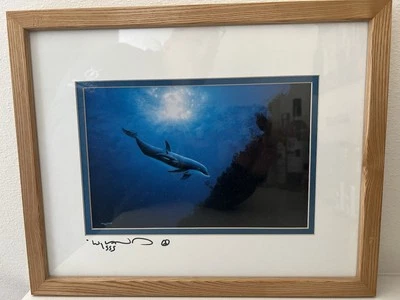 Wyland Studio “Dolphin Vision” Mother and Calf 1993 Live Signed Ocean Lithograph Foto 1 de 4