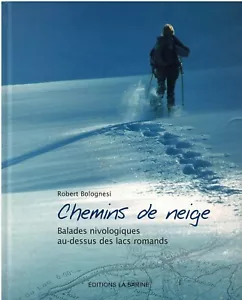 Chemins de neige (Snow Paths above the Swiss Lakes) ~ By Robert Bolognesi - Picture 1 of 4