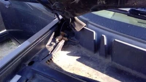 Bisagra de capó Escape 2008 252870 - Imagen 1 de 6