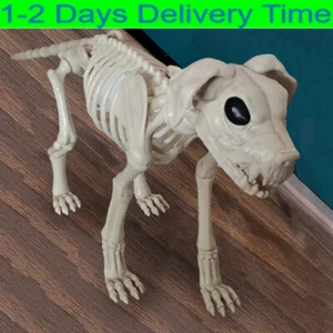 Skeleton Dog Skeleton Animal Plastic Puppy with Posable Joints Halloween Decor c - Picture 1 of 23