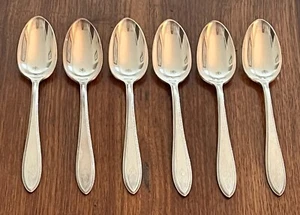 Cucharaditas "Argosy" cucharaditas (6) 1847 Rogers Bros. cubiertos vintage plateados - Imagen 1 de 15