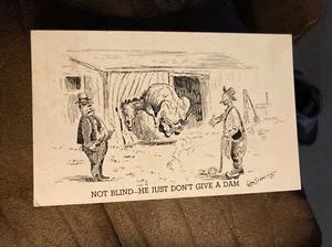 Not Blind-He Just Don’t Give A Dam de Wm. Postal de cómic de pie - Imagen 1 de 2